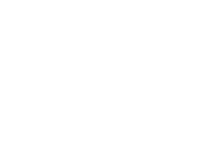 【早い者勝ち最終値下げ】レーシングジャケット レーシングジャケット・F1ジャケット | 300km/h Club